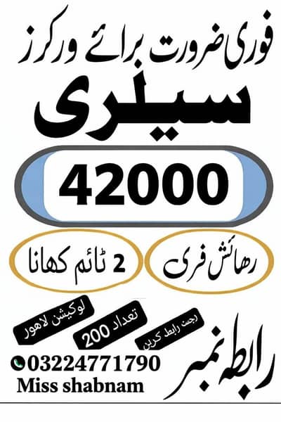 need urgent staff Mayfair biscuits packing factory male and female