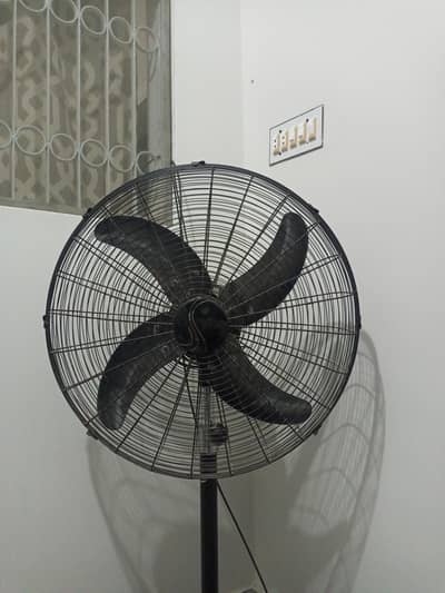 Pedestal Fan