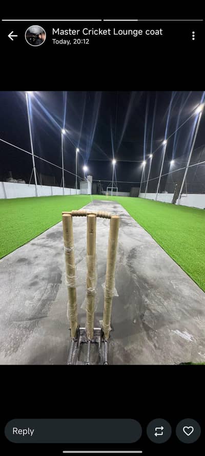 Artificial Grass/ Cricket Net/Indoor Cricket Grass/Outdoor Net