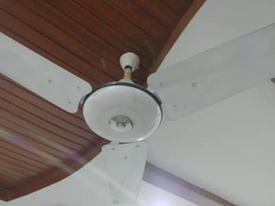 Deluxe Plus Ceiling (Roof) 2 Fans