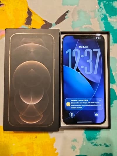 iphone 12 pro max pta approved 10/10 condation