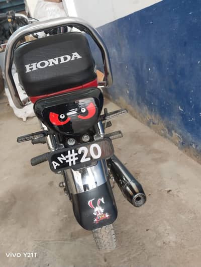 Home Use Lush Condition