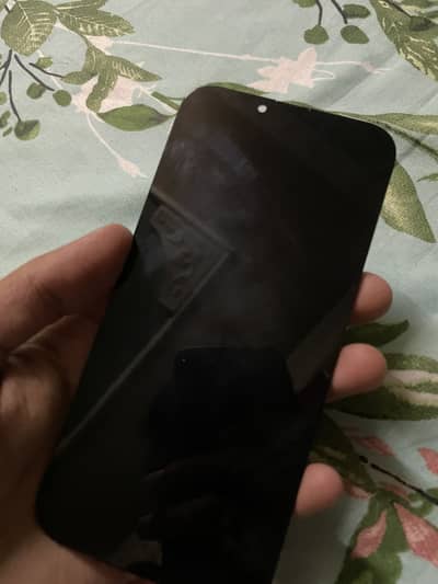 Iphone 13 pro max panel/screen