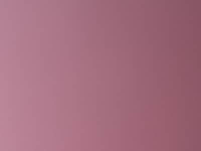 Social Media Manager