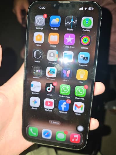 Apple iPhone 13 Pro Max