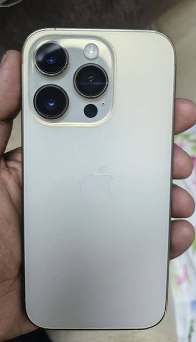 14 Pro Golden Color PTA Approve