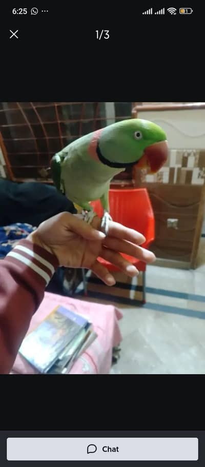 face to face talking 03288104963