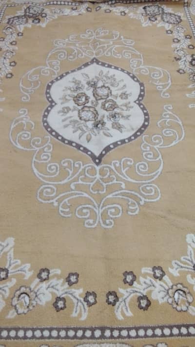 coline carpait torki wala bilkol new for sale