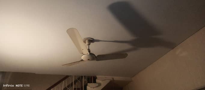 Asia 56  Ceiling Fan