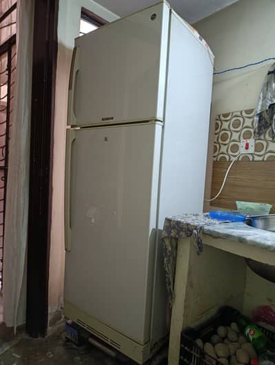 FOR SALE: PEL Arctic Series Double-Door Refrigerator (Large Capacity)