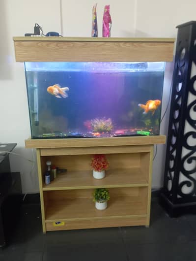 Fish Acquariam for Sale with Pump, Imported heater and filter