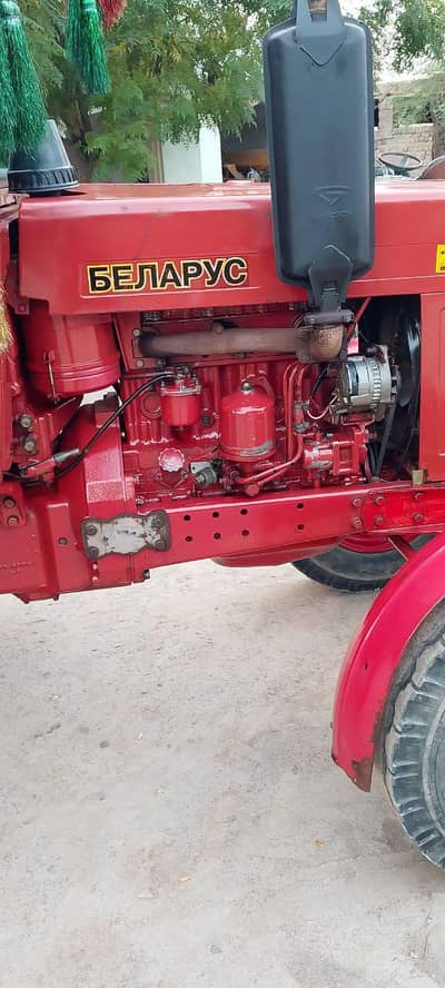 Gift for Belarus lovers