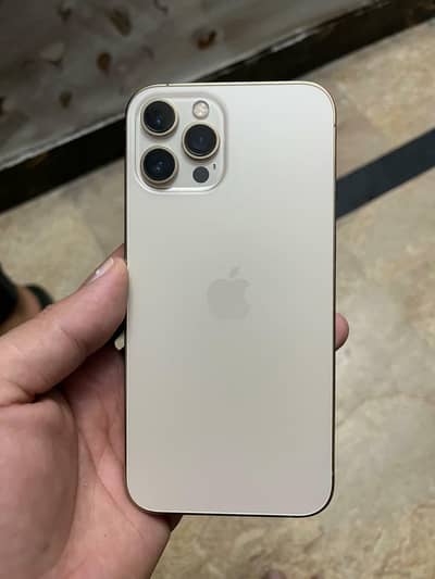 Iphone 12 pro max dual physical