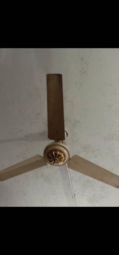 ceiling fan