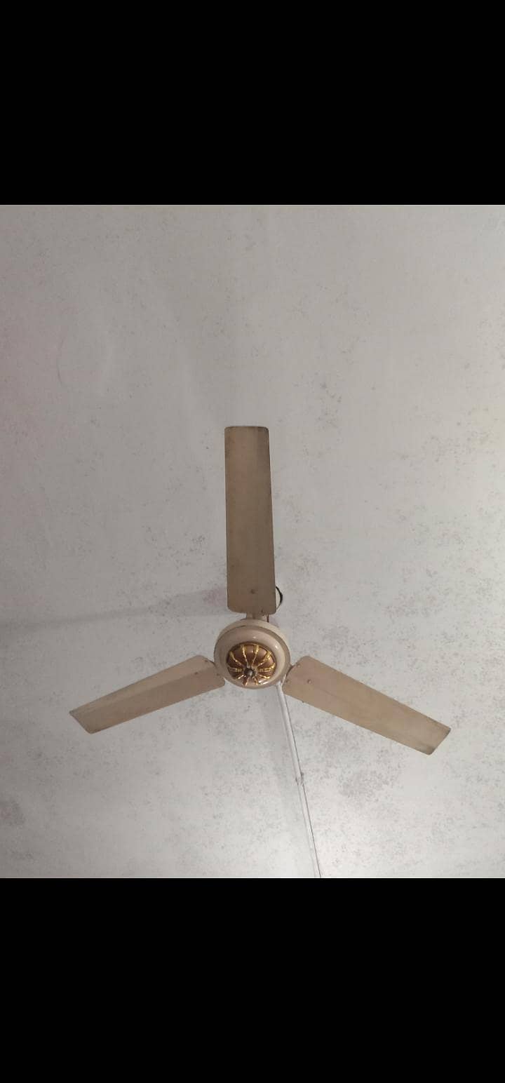 ceiling fan 1