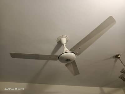 GFC Ceiling Fans