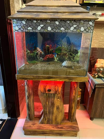 Aquarium 2Ft Excellent Condition