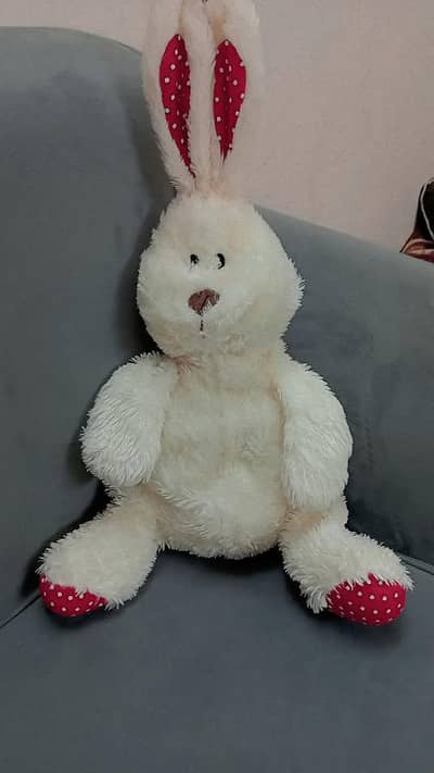 Urgent Sale Beautiful Rabbit 