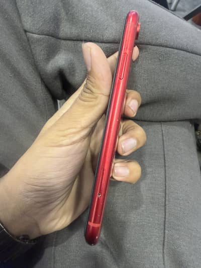 iphone xr pta aproved