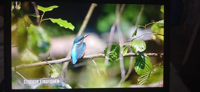 Dell Precision M6700 Core I7 3rd Gen QM processor