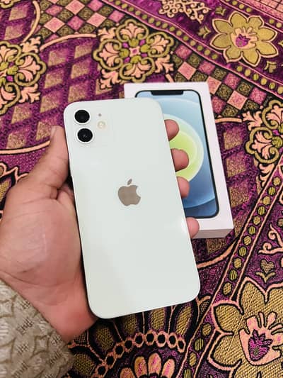 iphone 12 pta apporved