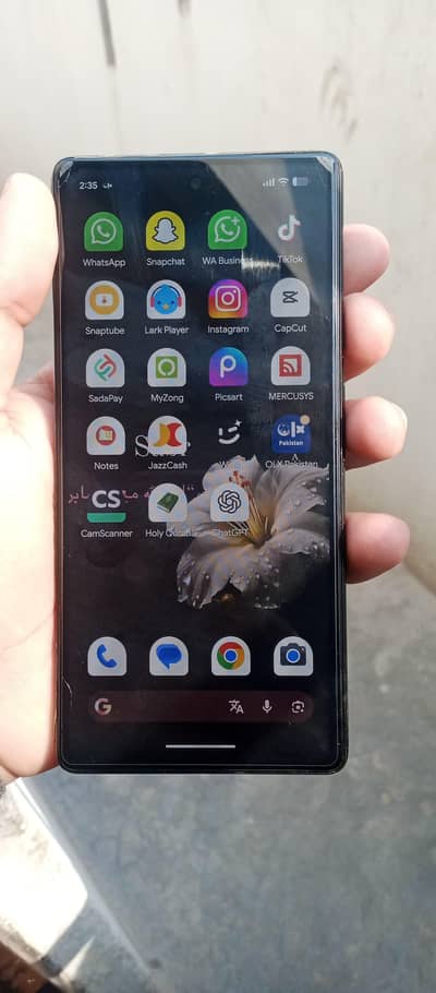 googel pixel 6 tex paid