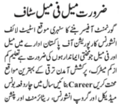 میل فی میل سٹاف چاہیے