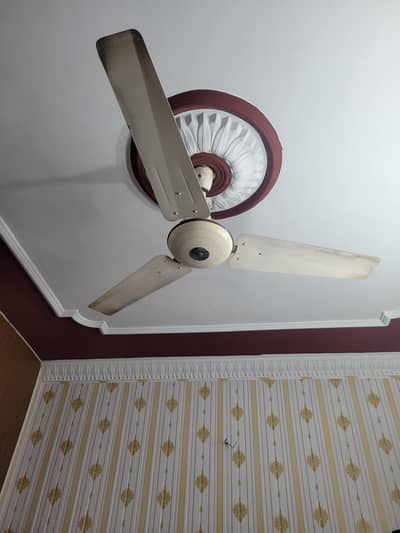 nice fan good price