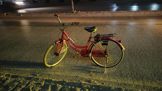 Japanese Bicycle, all original japani