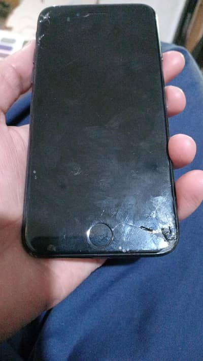 serious buyers contact