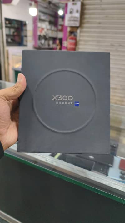 Vivo X300 5g Mist Blue Colour
