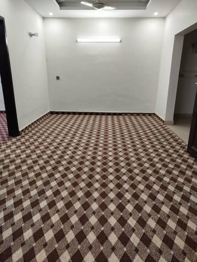 Few months used carpet in excellent condition