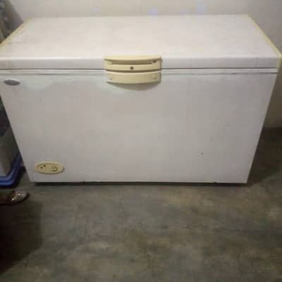 Best Fridge Maximum 1 year use