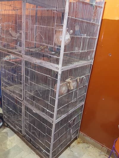 LARGE SIZE CAGE | 6 SECTIONS | LARGE SPACE | ONLY CAGE NO PARROTS