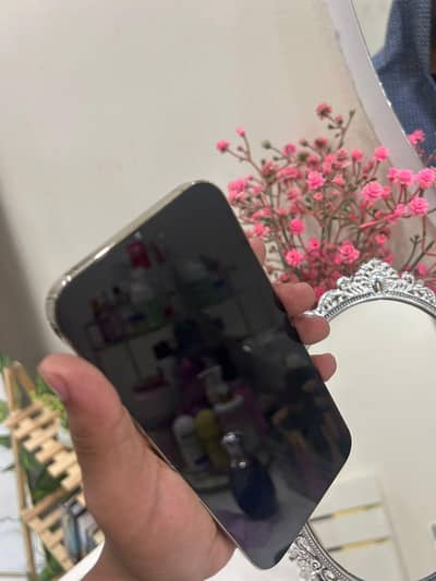 iPhone 14 pro max factory unlocked Gb 256