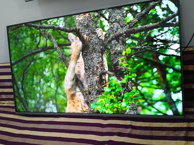 HISENSE LED ANDROID 4K VOICE SEARCH 50 INCH 03124008516