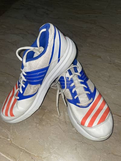 Cricket spikes for sale original addidas spikes only 6 matches used