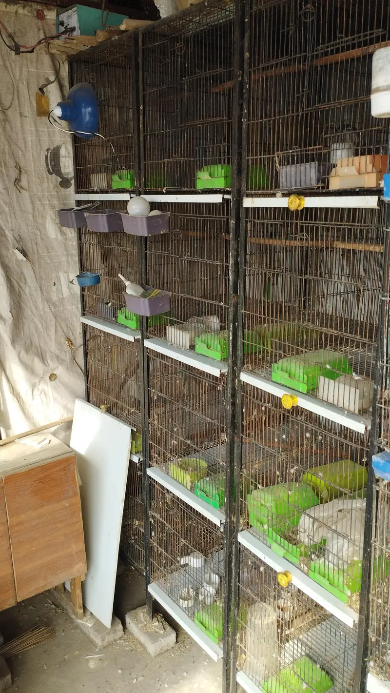 3 Cages For Sale