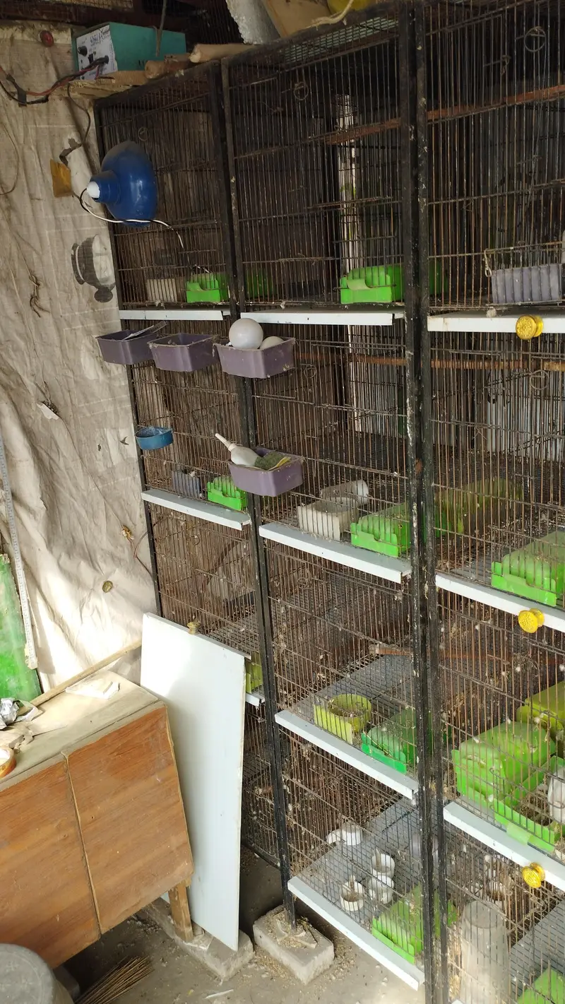 3 Cages For Sale — photo 2