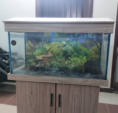 3ft Fish Aquarium
