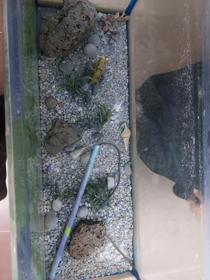 3ft Fish Aquarium — photo 3