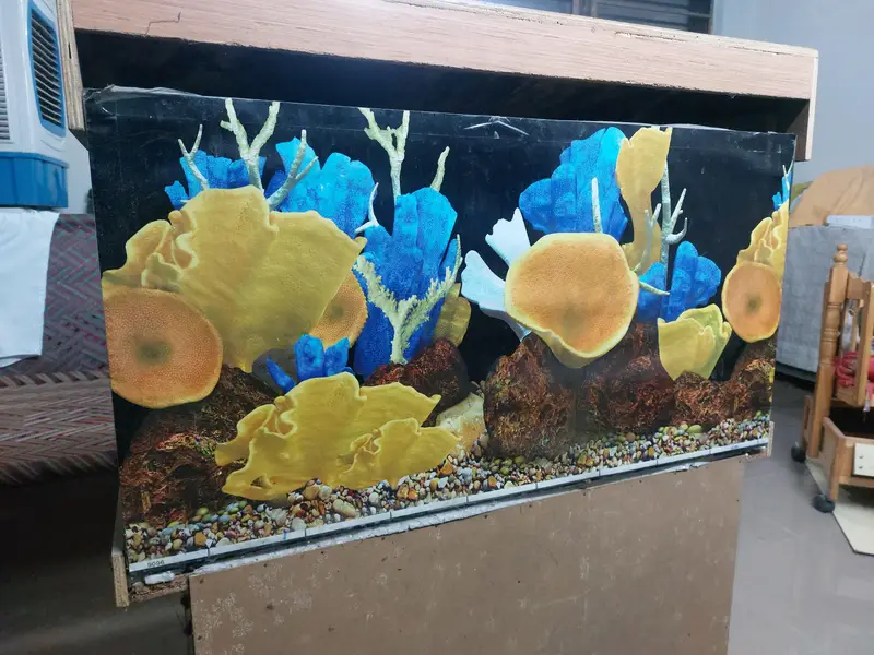 3ft Fish Aquarium — photo 4