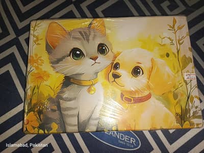 acer Chromebook window 11 installed