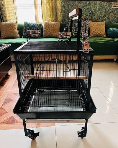 Cage with love birds pair