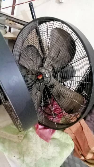 Sale of fans