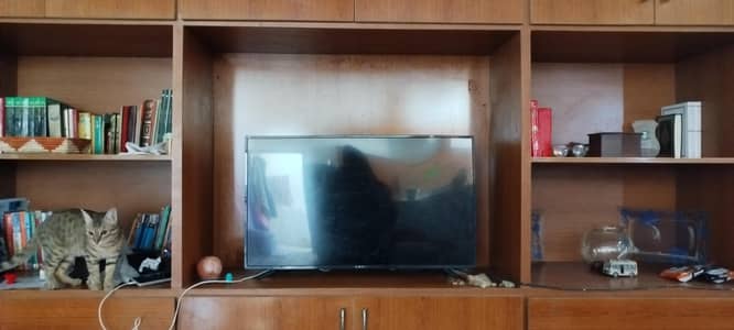 Samsung LED for sale