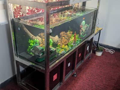 High Quality Safe Aquarium
