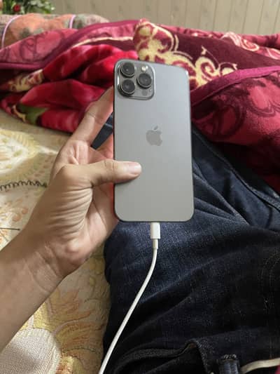 13 pro max 256 gb pta