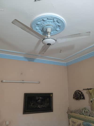 Ceeling Fan