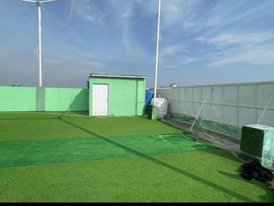 Majestic Box Roof Top Cricket Ground